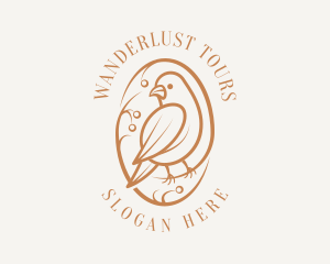 Bird Branch Aviary logo design