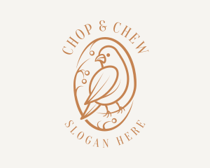 Ngo - Bird Branch Aviary logo design