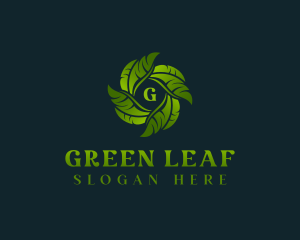 Eco Garden Leaves logo design