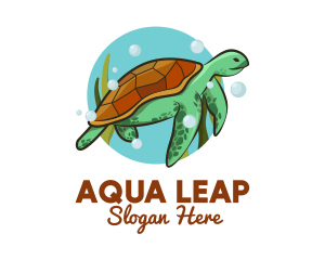 Amphibian - Wild Sea Turtle logo design