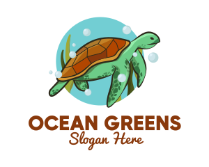 Seaweed - Wild Sea Turtle logo design