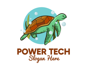 Animal Conservation - Wild Sea Turtle logo design