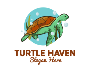 Turtle - Wild Sea Turtle logo design