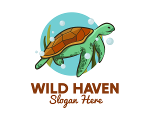 Wild Sea Turtle logo design