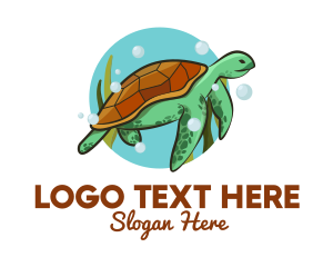 Marine Biology - Wild Sea Turtle logo design