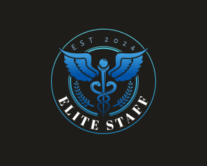 Healthcare Caduceus Staff logo design