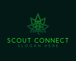 Marijuana Cannabis Leaf logo design