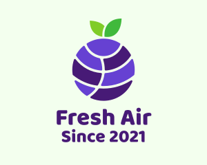 Blueberry Fruit Globe  logo design