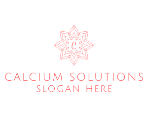 Floral Lantern Boutique logo design