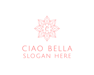 Floral Lantern Boutique logo design