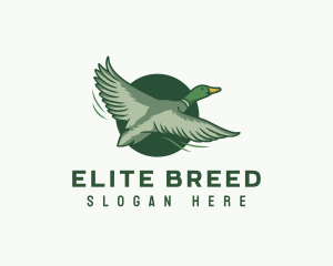 Flying Duck Bird logo design