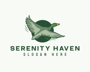 Sanctuary - Flying Duck Bird logo design