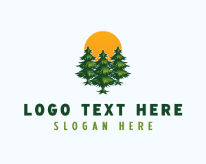 Eco - Pine Tree Forest logo design