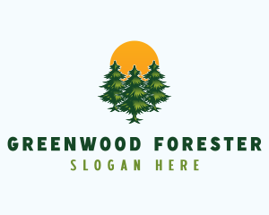 Pine Tree Forest logo design