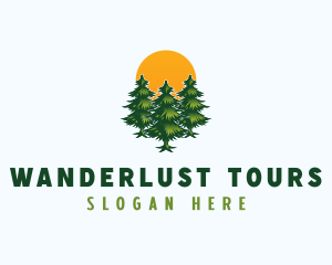 Pine Tree Forest logo design