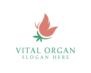 Butterfly Organic Herbal logo design