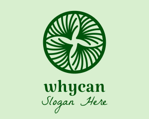 Herbal Leaves Spiral  Logo