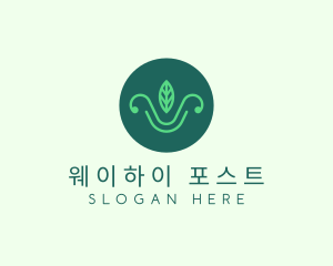 Green Organic Eco Leaf logo design