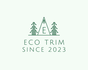 Pine Tree Forest logo design