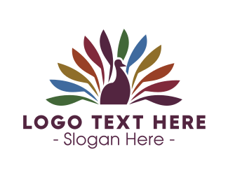 Peacock Logo Maker Best Peacock Logos Brandcrowd The course is for beginners and even. peacock logo maker best peacock logos