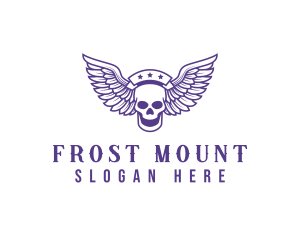 Skull Winged Pilot logo design