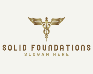 Health Care Provider - Caduceus Staff Medical Health logo design