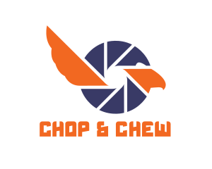 Hawk - Bird Camera Shutter logo design