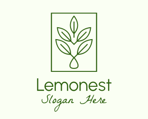 Leaf Droplet Frame Logo