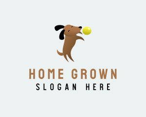 Domestic - Ball Dog Play logo design