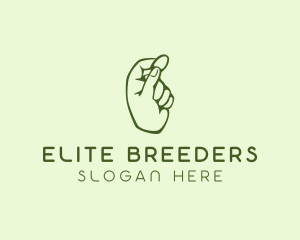 Green Coin Hand logo design