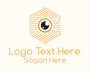 Hexagon Camera Outline Logo