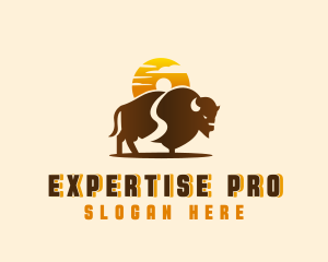 Sunset Buffalo Explorer logo design