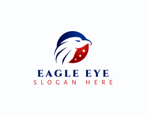 Eagle Bird USA logo design