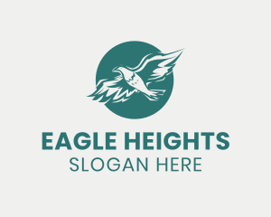 Soaring - Soaring Flying Eagle logo design