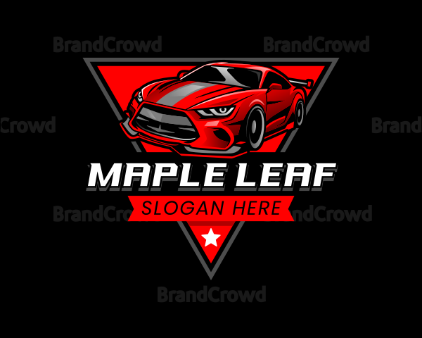 Racing Car Detailing Logo