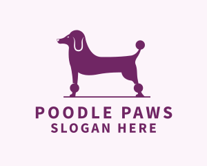 Pet Poodle Dog  logo design