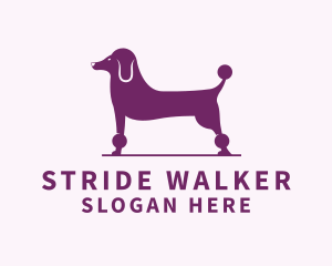 Pet Poodle Dog  logo design