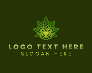 Plant - Herb Medication Weed logo design