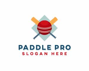 Sports Cricket Ball Paddle logo design