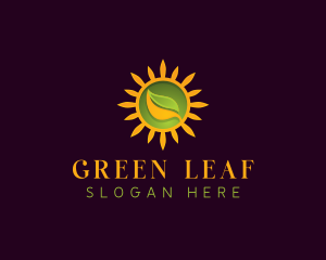  Ecology Sun Leaf logo design