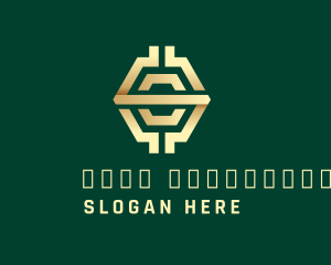 Crypto Coin Hexagon logo design