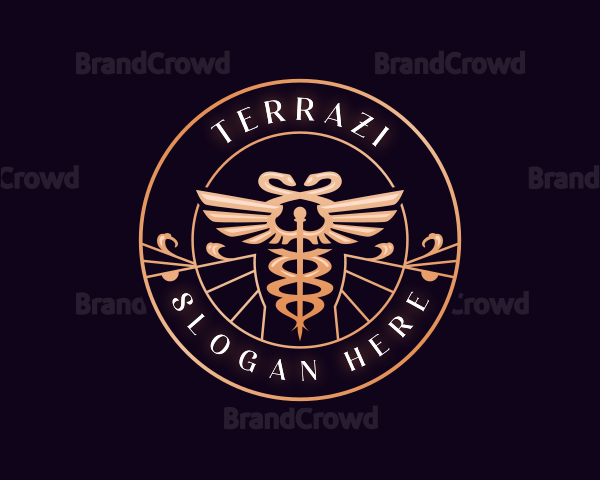 Health Hospital Caduceus Logo