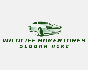 Fast Automotive Detailing logo design