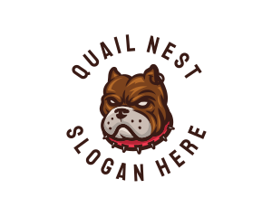 Tough Canine Dog logo design