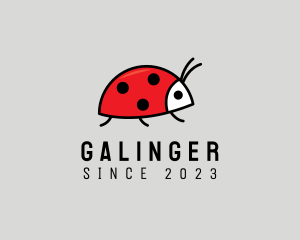 Cute Ladybug Cartoon Logo