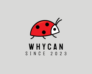 Daycare Center - Cute Ladybug Cartoon logo design