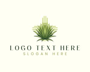 Flora - Lechuguilla Plant New Mexico logo design