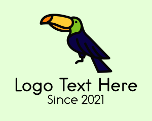 Black Bird - Perched Wild Toucan logo design