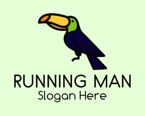 Perched Wild Toucan Logo
