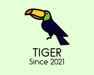 Aviary - Perched Wild Toucan logo design